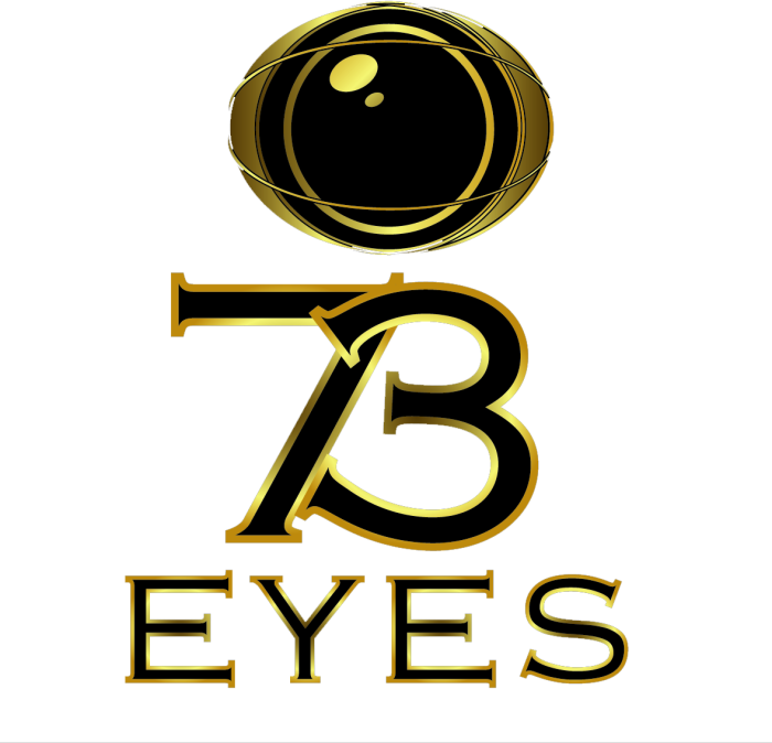 73 Eyes Logo
