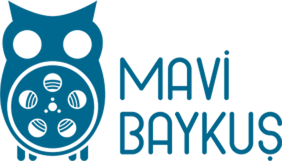 Mavi Baykuş Logo