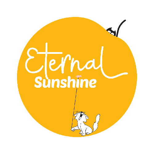 Eternal Sunshine Productions Logo