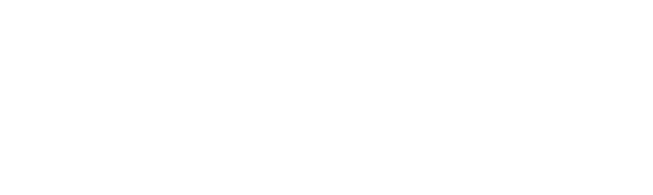 NOEMO Logo
