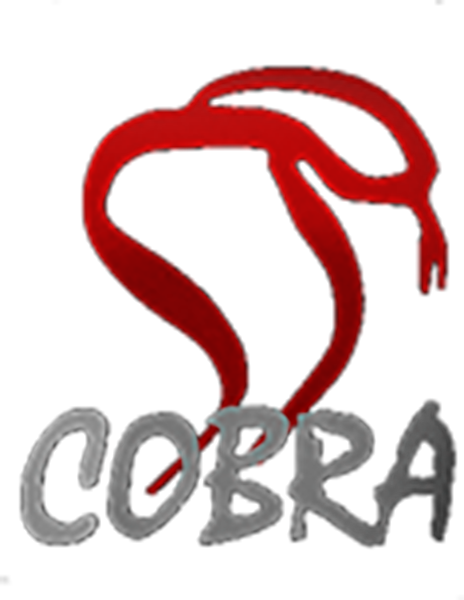 Cobra Film Department Logo
