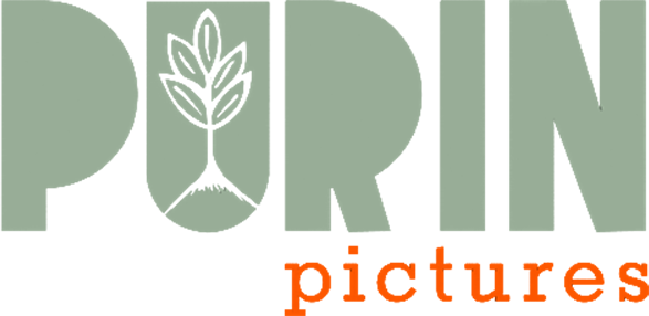 Purin Pictures Logo