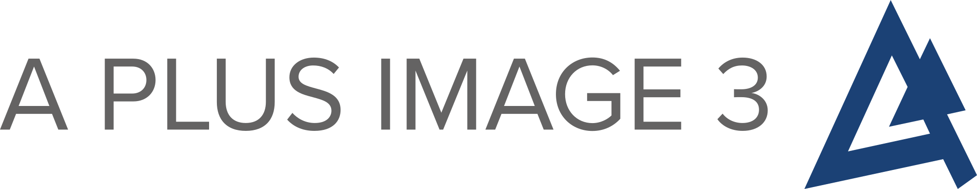 A Plus Image 3 Logo