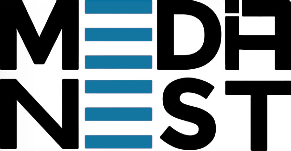 Europe Media Nest Logo