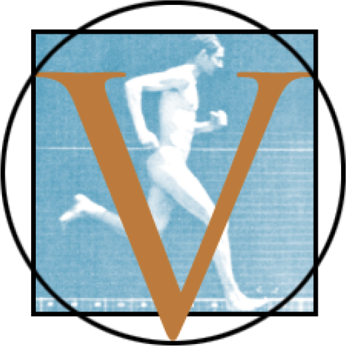 Vidicom Media Logo