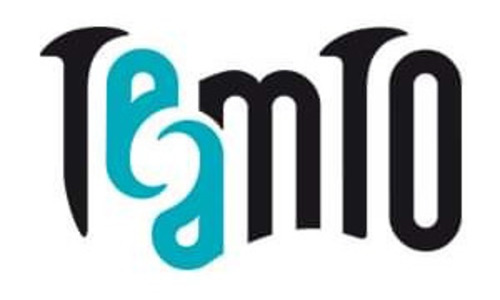TeamTO Logo