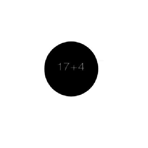 17+4 Logo