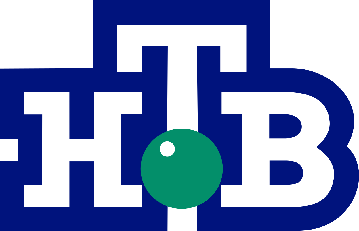 NTV Logo
