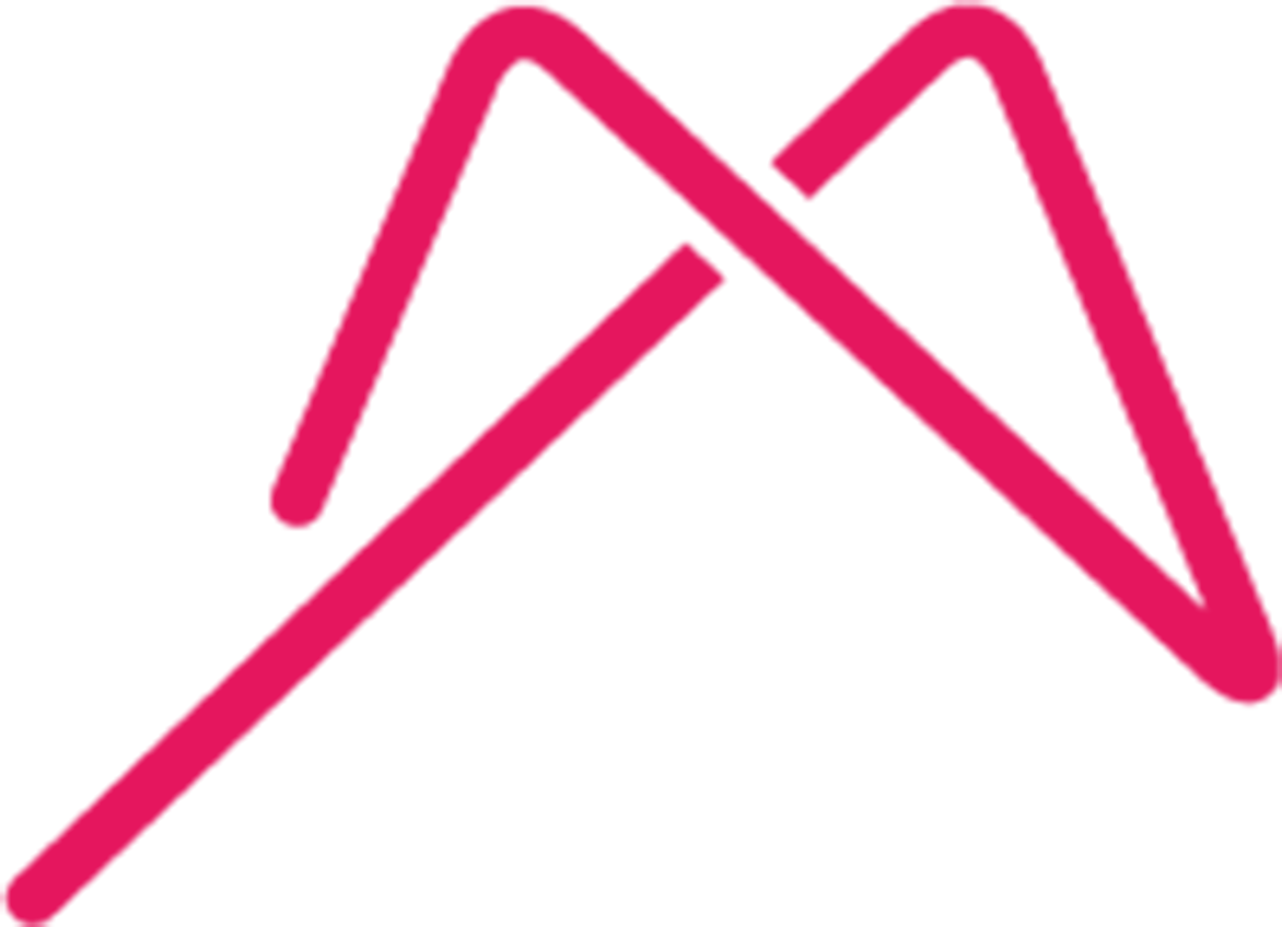 Medalia Productions Logo
