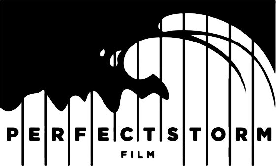 Perfect Storm Film Logo