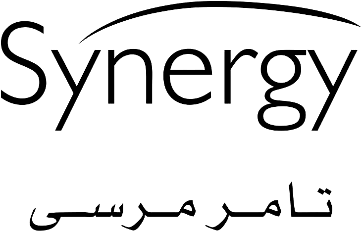 Synergy Logo