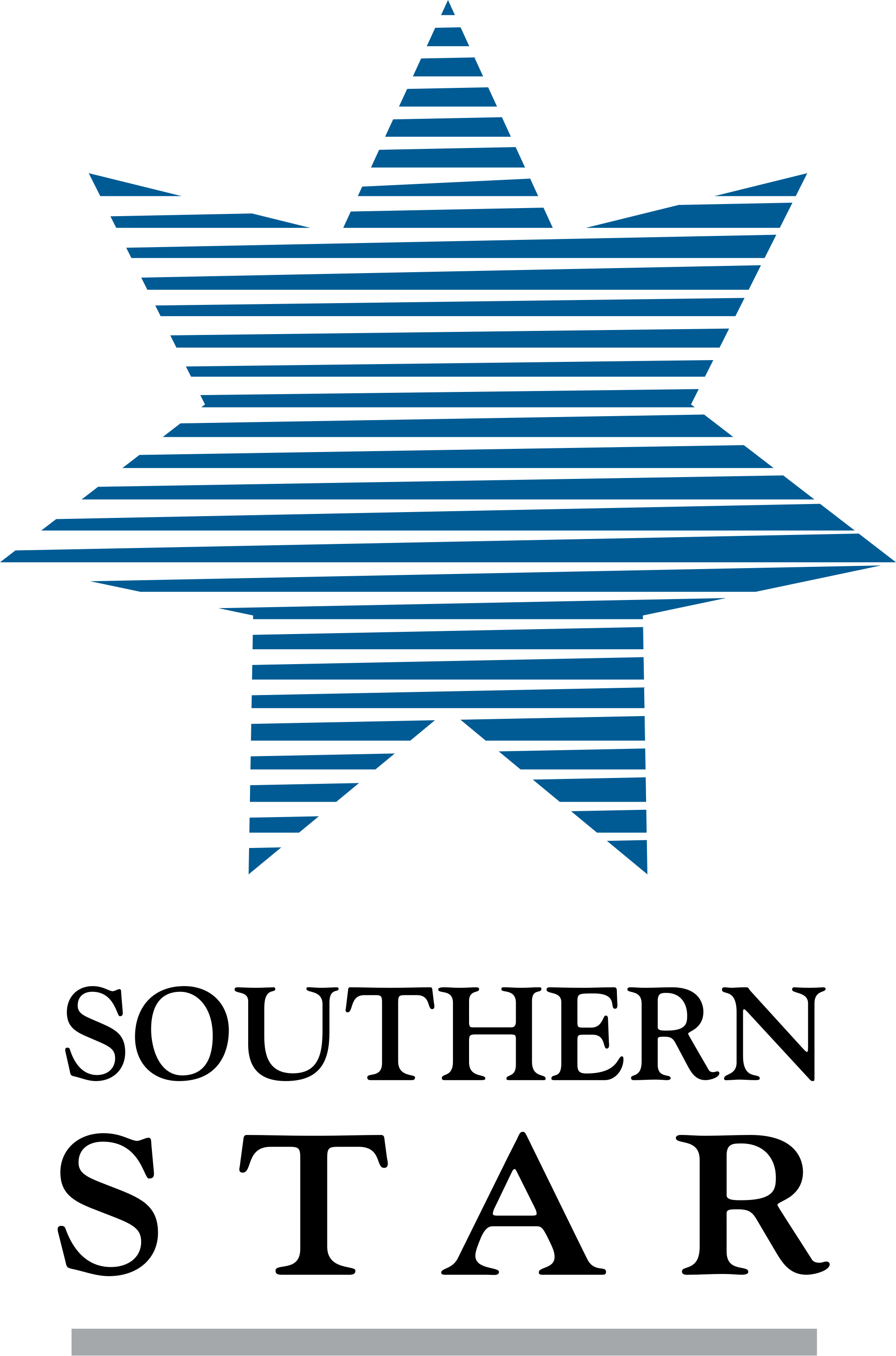 Southern Star Logo